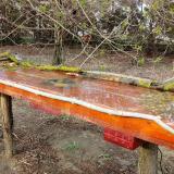 photo 2021-04-01 16-48-09