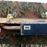 photo 2021-02-10 10-10-40