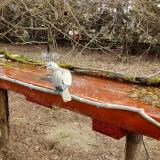 photo 2021-03-30 10-35-09