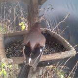 photo 2019-12-25 12-19-04