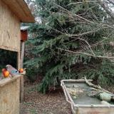 photo 2021-12-22 12-53-55