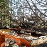 photo 2022-03-23 08-37-50