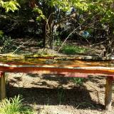 photo 2021-04-26 10-19-54