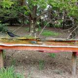 photo 2021-04-26 15-21-41