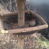 photo 2019-02-22 14-07-49