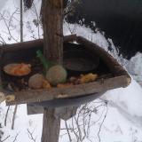 photo 2019-01-23 07-24-22