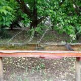 photo 2021-05-19 11-43-04