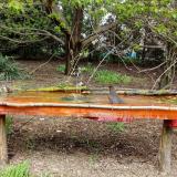 photo 2021-04-19 12-49-54