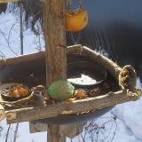 photo 2019-01-27 09-42-00