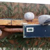 photo 2021-03-06 11-19-31