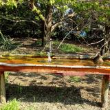 photo 2021-04-21 09-56-15