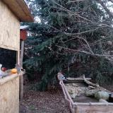 photo 2021-12-21 07-32-47