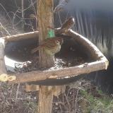 photo 2019-02-12 11-41-02