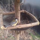 photo 2019-03-15 16-11-52