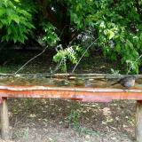 photo 2021-05-25 10-34-51