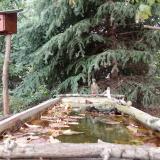 photo 2023-10-08 14-20-12