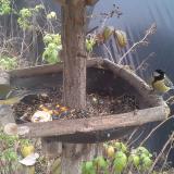 photo 2019-12-08 12-09-08