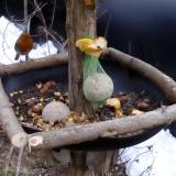 photo 2019-01-16 08-46-05