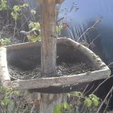 photo 2019-12-15 10-26-15