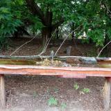 photo 2021-07-23 16-59-52