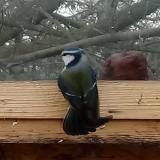 photo 2022-01-16 11-28-05 kek