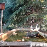 photo 2023-10-14 08-54-18