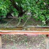 photo 2021-05-19 12-06-03