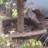 photo 2019-12-09 13-51-20