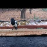 photo 2021-11-22 09-44-17