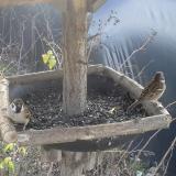 photo 2019-12-24 11-44-01