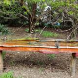 photo 2021-04-19 12-46-31