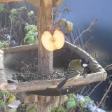 photo 2019-12-03 11-35-25