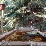 photo 2023-10-16 16-19-32