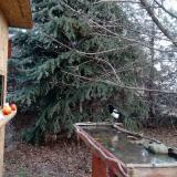 photo 2021-12-15 08-51-41