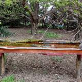 photo 2021-04-16 17-12-58