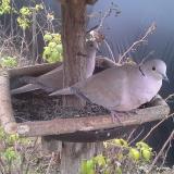 photo 2019-12-16 08-07-54