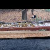 photo 2021-11-22 10-02-28