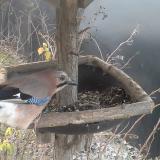 photo 2019-12-29 08-19-51