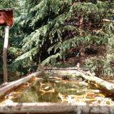 photo 2023-10-17 13-19-38