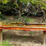 photo 2021-04-25 11-32-49