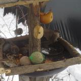 photo 2019-01-27 13-17-48