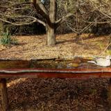 photo 2021-10-26 14-35-59