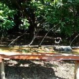 photo 2021-09-06 09-46-53