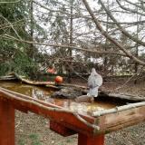 photo 2022-03-17 10-08-41