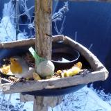 photo 2019-01-21 10-36-17