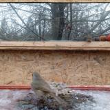 photo 2022-01-20 09-00-18