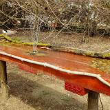 photo 2021-03-30 13-24-54