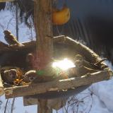 photo 2019-01-27 10-07-53