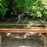 photo 2021-05-12 11-10-45