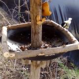 photo 2019-02-08 11-18-18